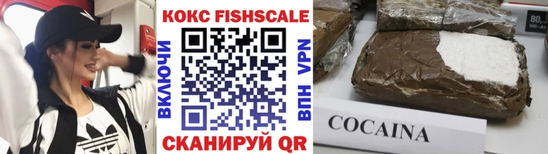 COCAIN Fish Scale Гаврилов-Ям