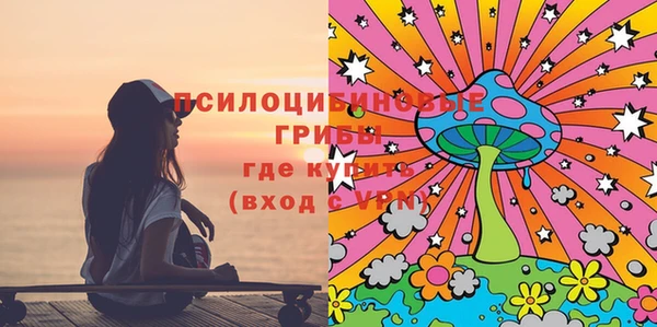 прущий лед Козловка